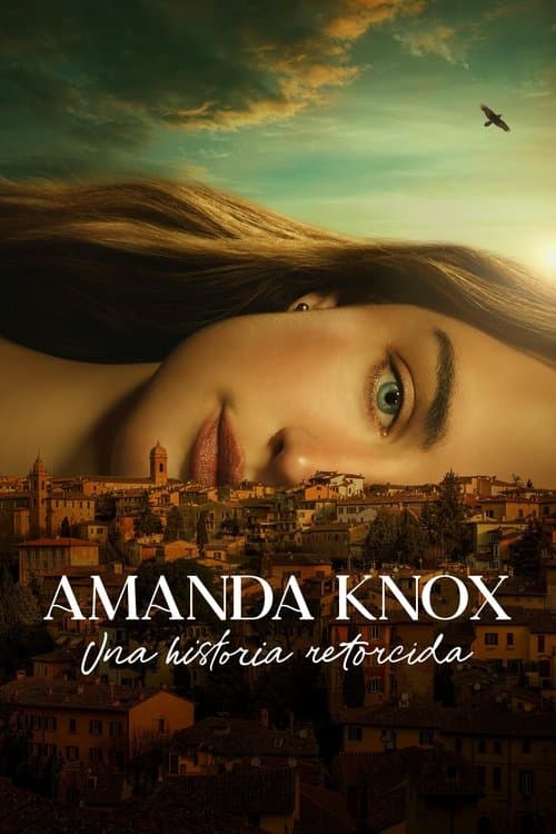 Cartel de Amanda Knox